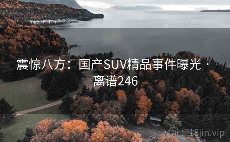 震惊八方：国产SUV精品事件曝光 · 离谱246