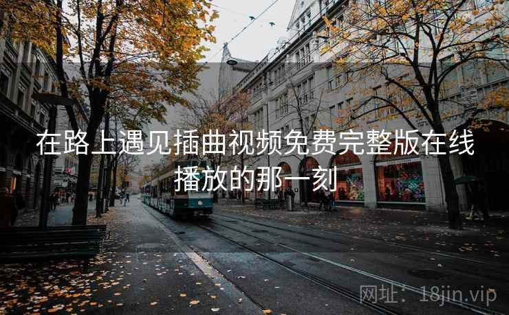 在路上遇见插曲视频免费完整版在线播放的那一刻