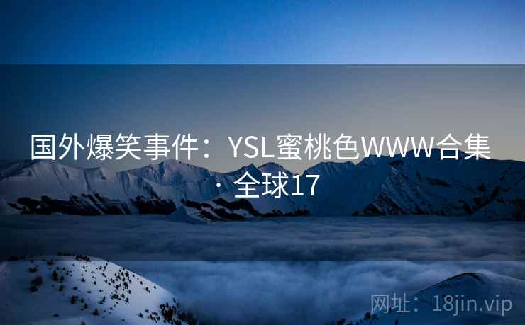 国外爆笑事件：YSL蜜桃色WWW合集 · 全球17